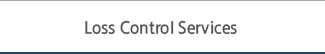Loss Control Services
