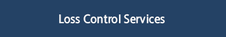 Loss Control Services
